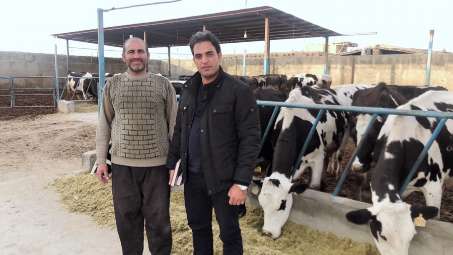 محمدی